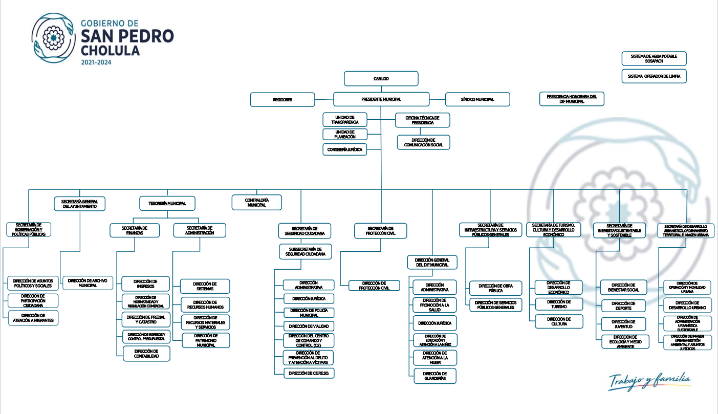 Estructura Organica - San Pedro Cholula