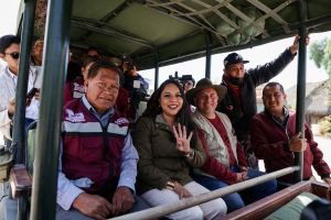 Entrega Tonantzin Fernández 270 árboles navideños naturales a Africam Safari