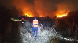 Atención inmediata de autoridades municipales y estatales evita mayores afectaciones por incendios en el Cerro Zapotecas