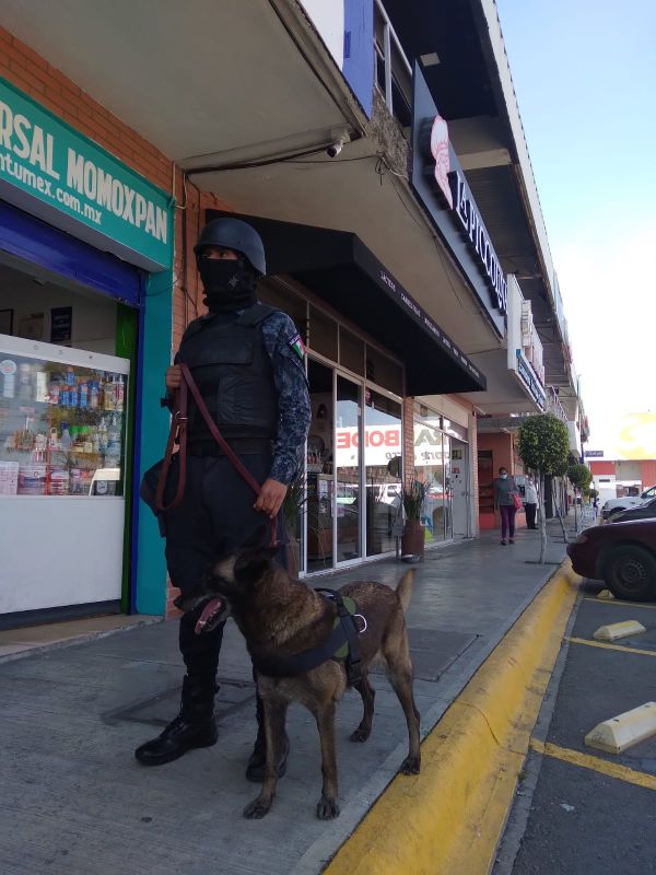 SALDO BLANCO DURANTE EL BUEN FIN EN SAN PEDRO CHOLULA