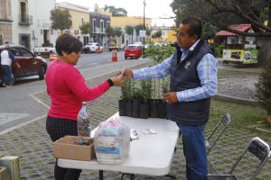 Últimos días de &quot;Verde Navidad&quot; y &quot;Reciclatón&quot; en San Pedro Cholula