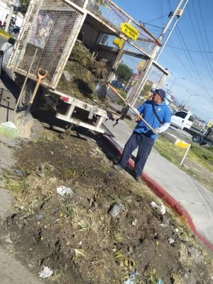 Mantiene Tonantzin Fernández trabajo constante en el mejoramiento de parques y áreas verdes